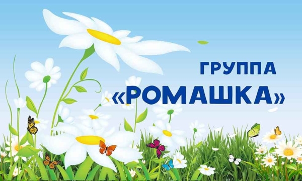 Подготовительная группа "Ромашка"